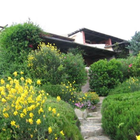 Bilocale Cala Ruja- Costa Smeralda 切尔沃港 外观 照片